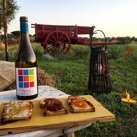 Agriturismo Quattro Pini 卡斯塔涅托卡尔杜奇 外观 照片
