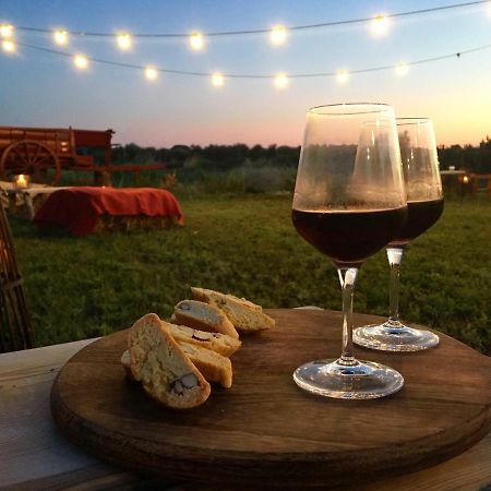 Agriturismo Quattro Pini 卡斯塔涅托卡尔杜奇 外观 照片