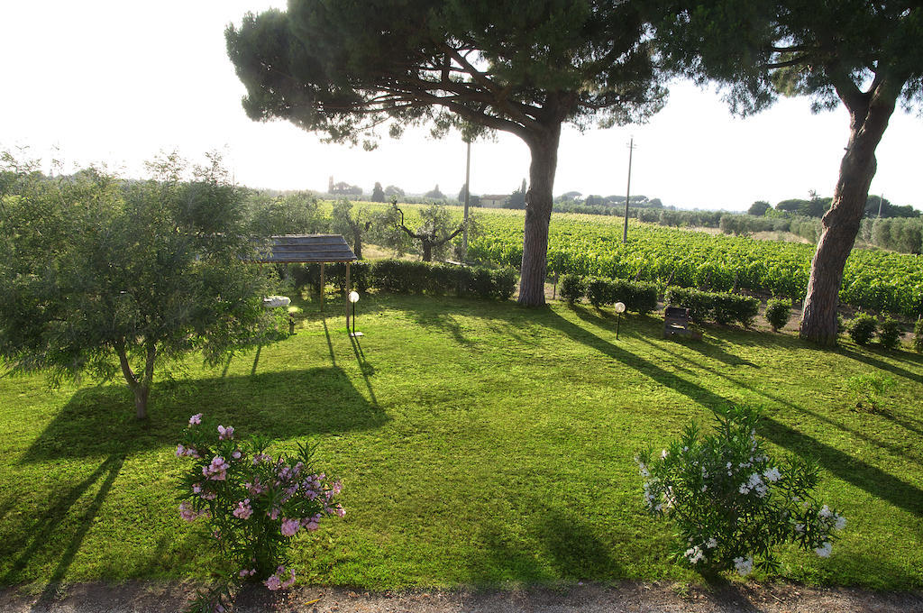 Agriturismo Quattro Pini 卡斯塔涅托卡尔杜奇 客房 照片