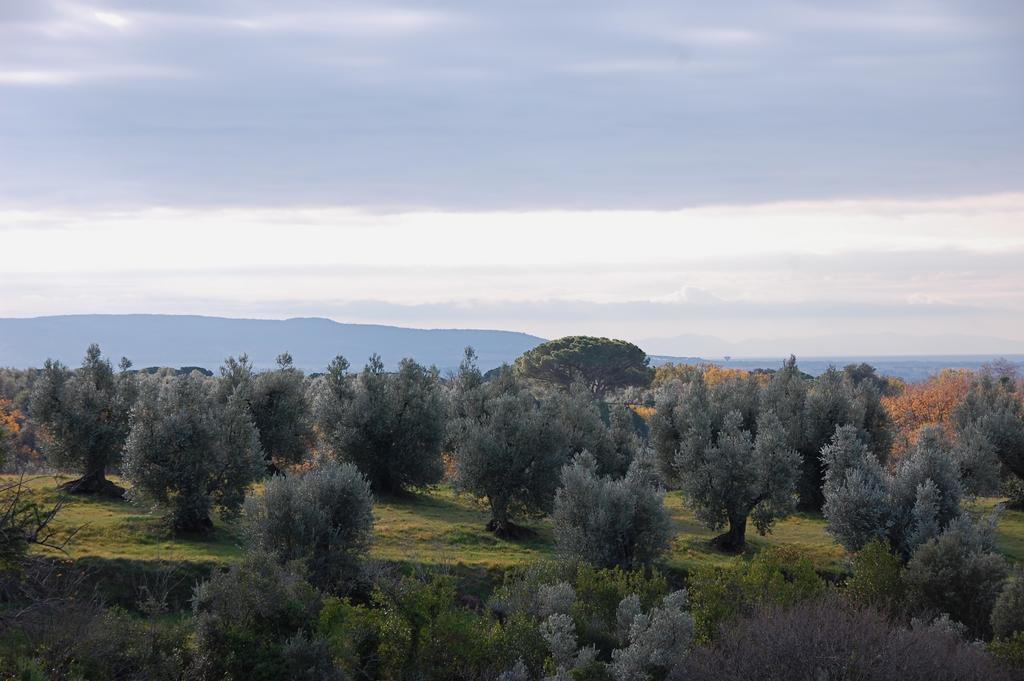 Agriturismo Quattro Pini 卡斯塔涅托卡尔杜奇 外观 照片