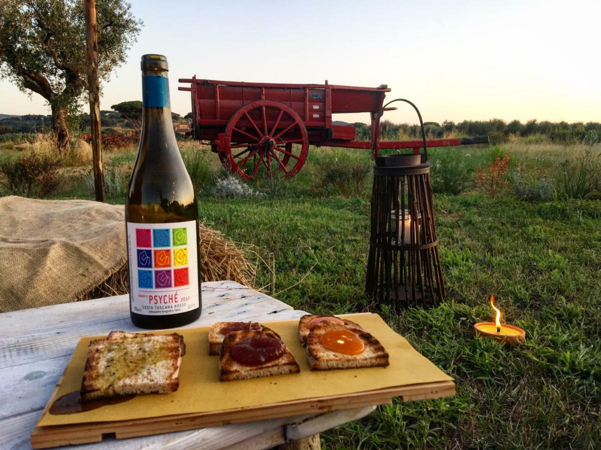 Agriturismo Quattro Pini 卡斯塔涅托卡尔杜奇 外观 照片