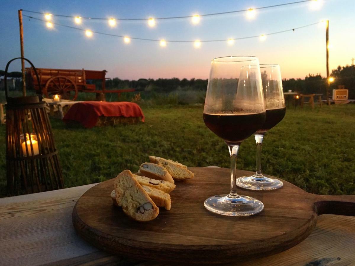Agriturismo Quattro Pini 卡斯塔涅托卡尔杜奇 外观 照片